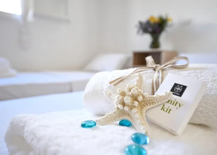 Villa Wonderful Chrysta Mykonos Town